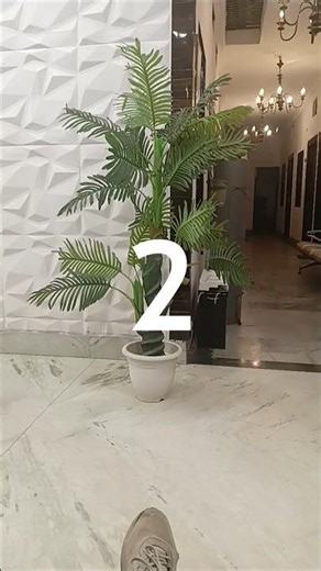 tutorial Graduation filter 🎓💀 #filter #graduation #funny #moneylove #trending