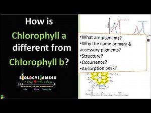 Difference between Chlorophyll a and Chlorophyll b (Chlorophyll a vs Chlorophyll b)