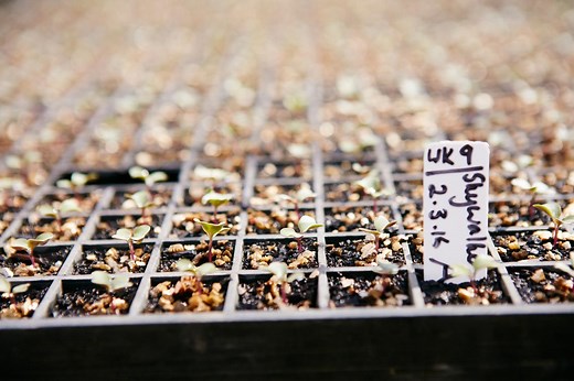 About us - Fresh Select