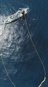 Ever wonder about the real cost of your seafood❓Purse seiners' nets wreak havoc on marine life, but it doesn't stop there. Eating meat products adds to the demand, fueling a cycle of ocean depletion.👇 Wild fish are used to feed farm animals, making the meat industry the largest consumer of ocean wildlife. 🌏 Fish farming, seen by some as a solution to overfishing, just leads to even more overfishing as the farmed fish have to eat too. By switching to a #plantbased diet, we can reduce the negati