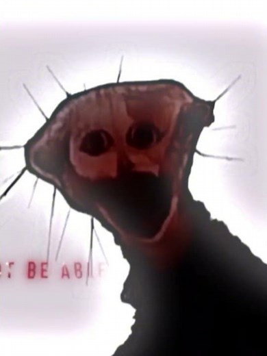 (THE BOILED ONE PHENOMENON) Phen-228 reversed voice line