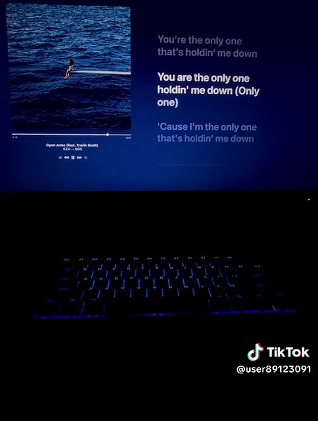 Open Arms #sza #travisscott #sos #openarms #music | open arms