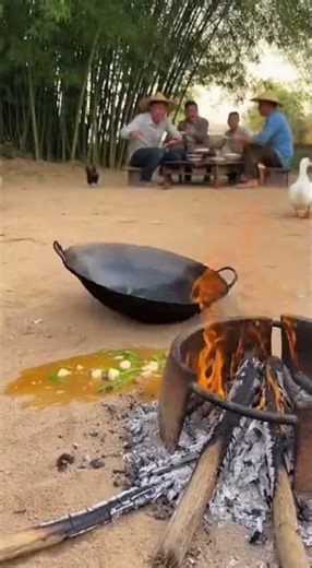 Wild boar infestation ,Scenery in the forest chaos unfolds #wildboar #nature #infestation