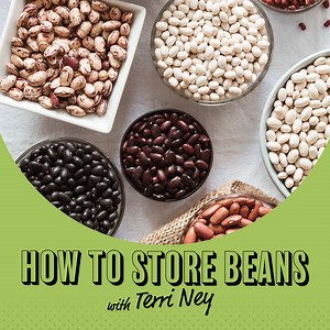 22 reactions | Want to know the secret to keeping your beans happy...
