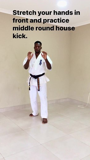 6.7K views · 266 reactions | Agility exercise, put your hands in front and practice middle roundhouse kick without dropping your hands  #trendingreels #reelsfb #viralreelsfb #viral #viralreels #Kyokushinnerd | Greg Maluma | Facebook