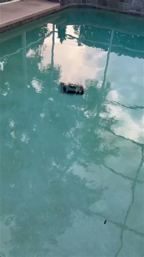 Best Amazon Finds Cool Gadgets, Pool Vacuum for Inground Pools #AmazonFinds #AmazonGadget