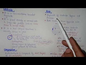 Centriole Structure And Functions | Federal & KPK Board | Class 11