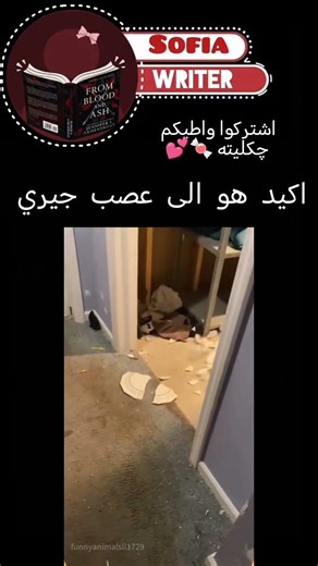 بموتت😭💕 #youtube #اكسبلور #ترند