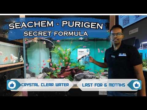 How Seachem Purigen Makes Your Aquarium Crystal Clear by Pearl Aquatics