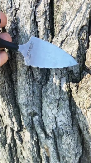 Well used and abused Cold Steel Urban Edge in a 50/50 edge! #coldsteelknives #edc #coldsteel #urban