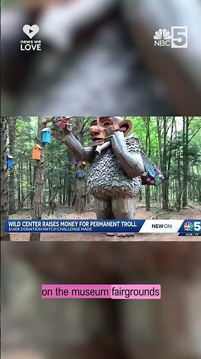 New York natural history museum raises money to commission Dambo troll to Tupper Lake