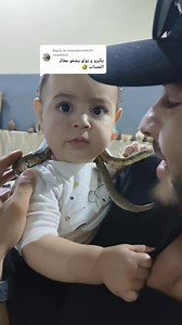 167K views · 1.1K reactions | Vikings Zoo on Reels | Facebook