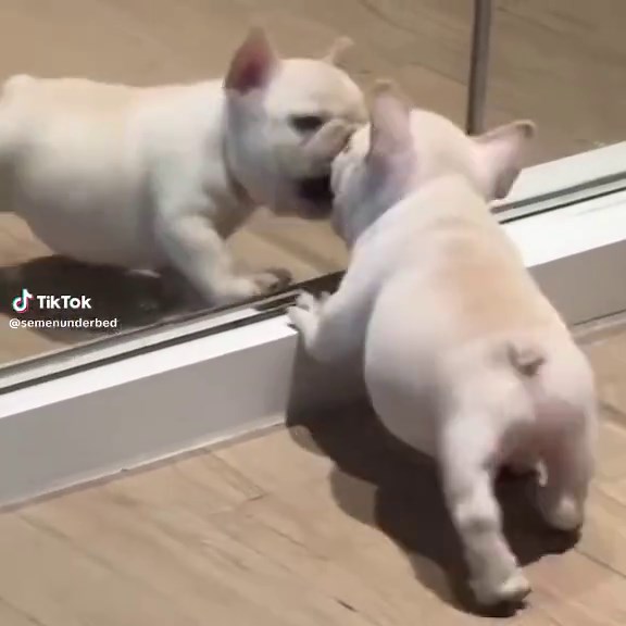 Edit Gmail Filters for Better Organization