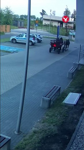 Drunk driver turns up to police station in horse and cart