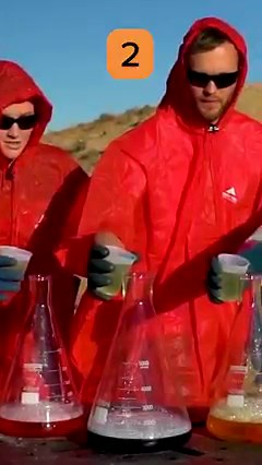 32K views · 619 reactions | How Powerful Is An Elephant Toothpaste CANNON? #toothpaste #scienceathome #scienceexperiment #explosion #viral #reels | The King of Random | Facebook