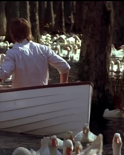 Love love love…. Happy Valentines Day | Foster TV Network