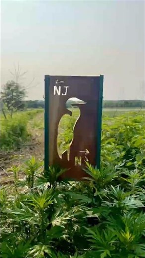 Appalachian Trail Hike: New Jersey & New York Mile 1297 - 146 #appalachiantrail #thruhike #outdoors