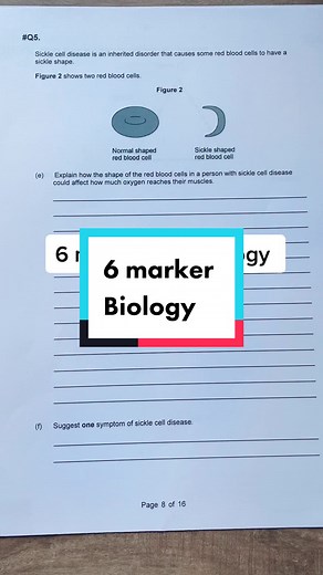 Should I do 6 mark required practicals next? #gcsescience #gcsesciencerevision #gcserevision #gcsebiology #fyp #foryoupage #desitiktok #revision