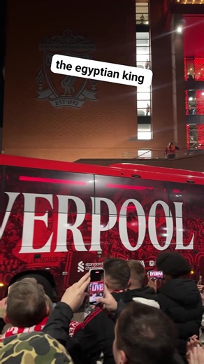 The Egyptian king on Reels