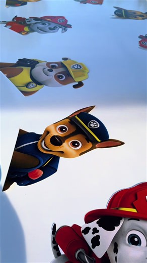 Paw Patrol Party Behind the Scenes