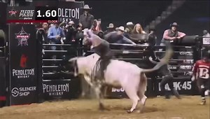 Premier Sale Highlight 089 Showbiz is a big time bucker with limited outs and ready for the big show! He is sired by a son of the great 009 Showtime and a maternal brother to 389 Pete, who had the highest marked Futurity score (94.90) of the 2025 season. Watch the video of Showbiz and you will be able to tell he has the talent and tools to make a name for himself at the top level of the game! You can bid online at www.CowBuyer.com Sale today at 2PM | American Bucking Bull Inc.