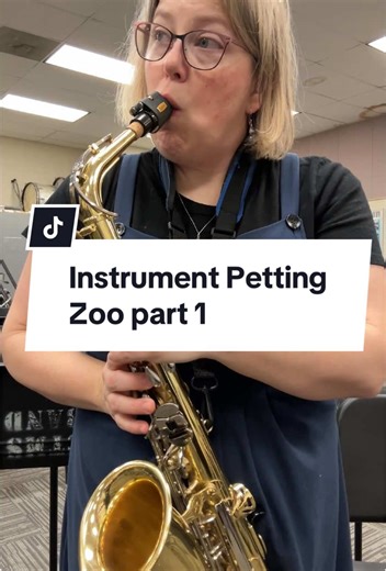 Instrument Petting Zoo: Exploring Beginner Band Instruments