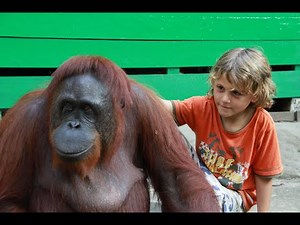 Endangered TV Series