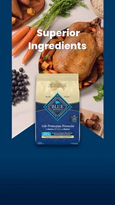 Not all brands are created equal. Blue Buffalo puts the focus on ingredients to help dogs thrive. | Blue Buffalo