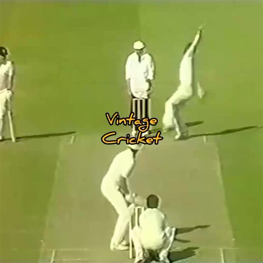 Surely there were times when Roger Harper was picked solely for his fielding.... What an incredible fielder 😍 🌴🏏 | Caribbean Cricket: The Vintage Collection