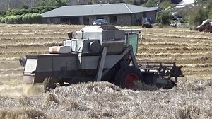 167K views · 4.4K reactions | An old Allis Chalmers L2 Gleaner combine still earning it's keep on a farm at Exton, in Northern Tasmania this afternoon (8th March 2022) harvesting a wheat crop which was quite badly lodged in places. Always enjoy seeing these older machines still in use ;) | Craig's Farming Photos & Videos | Facebook
