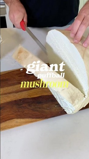 Giant puffball mushroom recipe