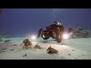 Best GH5 settings for FILMING UNDERWATER