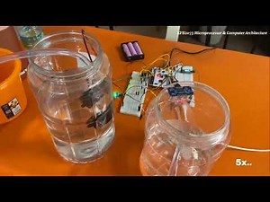 Smart Water Level Monitor | Auto Pump Control + IoT Blynk App | STM32 Nucleo Project