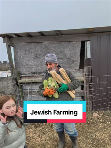 Understanding the 613 Commandments: Animal Care in Judaism