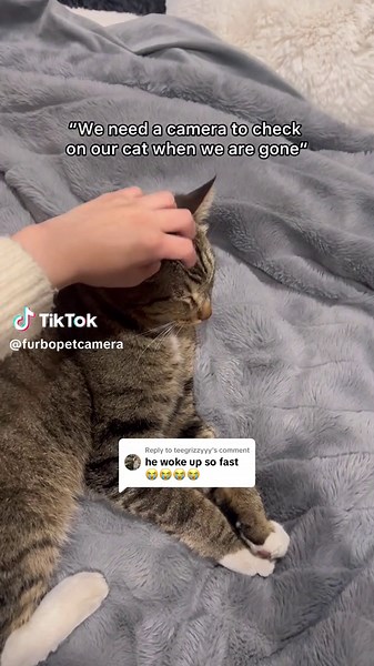 Replying to @teegrizzyyy Night vision on Furbo makes my cat look like ⚪️👄⚪️ #nightvision #nightvisioncamera #nightvisioncat #furbo #furbomoments #furbopetcamera #furbocatcamera