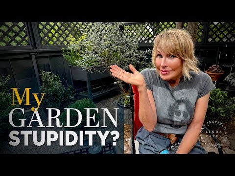Stupid and I’m Doing It Anyway: 2 Risks Worth Taking in the Garden | Linda Vater 🌿
