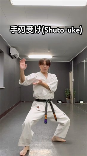 琉球空手道手刀受け#琉球空手 #沖縄空手 #空手 #空手道 #karate #karatedo #martialarts #トレーニング #武道 #技紹介