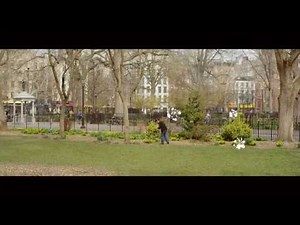 Fields: Spatial Sound in AR