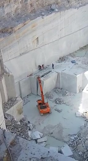 freetiger0001 (@freetiger0001)’s videos with original sound - Mahendra Dogney