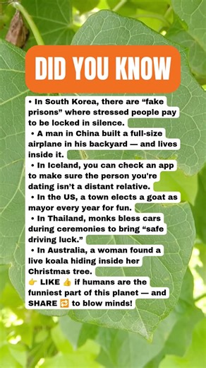 Nature of Human Oddity Facts That Twist Your Brain 😱🤯