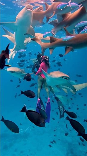 Best Travel Insurance: Detour Protects!