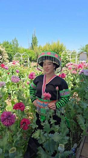 Kuv xyaum xwb nawb hais tsis yog los pab qhia. Kwv txhiaj suab hmoob txaij npab Kuv yeej tsis txawj li tej niam tej txiv tsua yog lam hais rau cov xav mloog tau mloog xwb | Pajhuab Xyooj