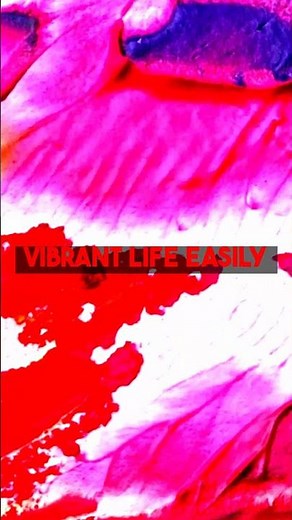 Online Photo Colorization A User Guide