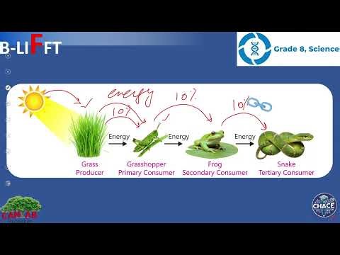 EdTech Science 8 Unit 1 BLIFFT 1.4 Page 8