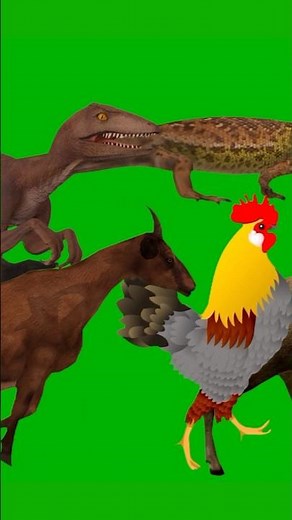 Green Screen Animal Running Walking Stampede With Sound Effect #greenscreen #threedanimal #2danimal