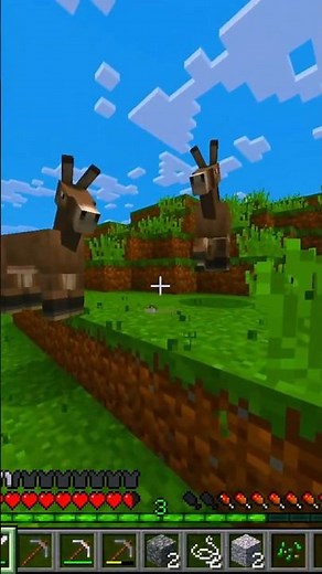 para que sirven los burros en Minecraft #minecraftclips #minecrafttutorial #minecraftshorts