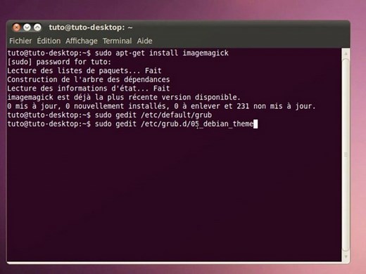 Tutoriel vidéo : Personnaliser Ubuntu : L’écran De Boot