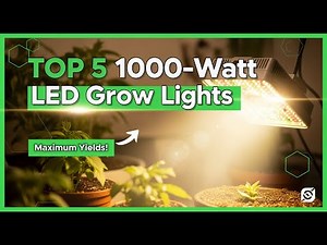 TOP 5 Best 1000 Watt LED Grow Lights 2026 | The Powerhouse Light for Maximum Yields