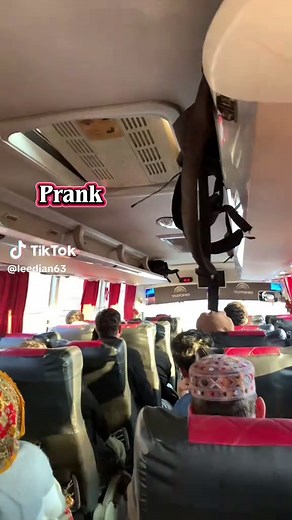 Bus Prank Ideas
