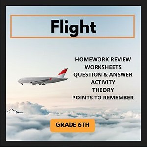 FLIGHT : THEORY, ACTIVITY, ASSIGNMENT, Q&A, POINTS TO REMEMBER WORKHSHEETS
